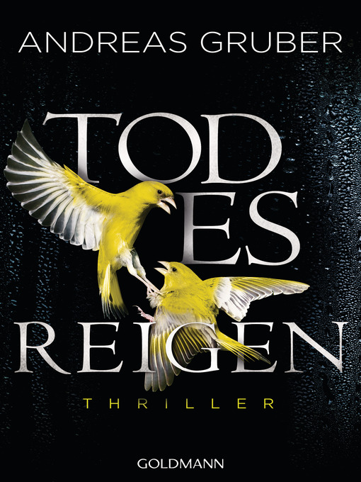 Title details for Todesreigen by Andreas Gruber - Available